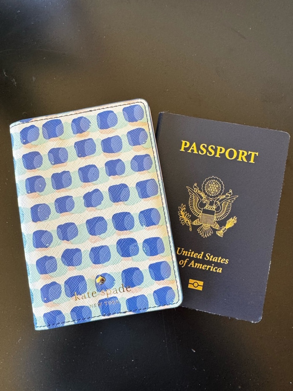 kate spade Blue and Mint Polka Dot Passport Cover